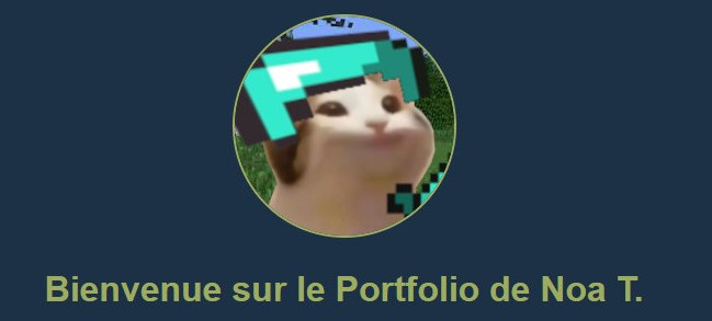 Image du portfolio
